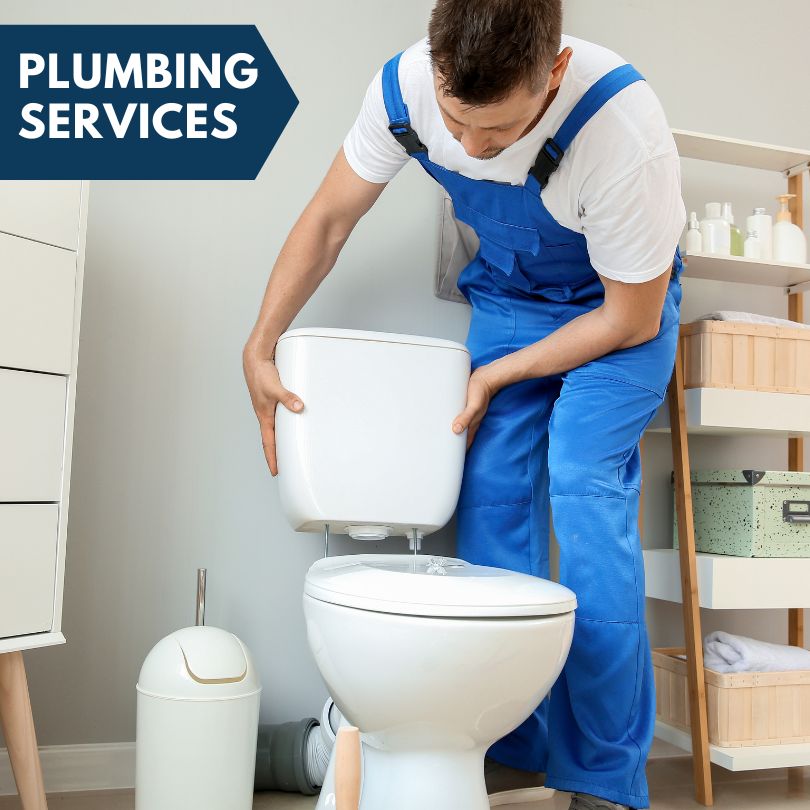 Plumbing Company in Walnut Shade, MO